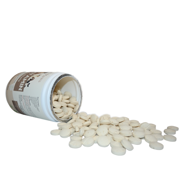 Lavish Paws Multivitamin chewable tablets for dogs – spilled view for texture and shape