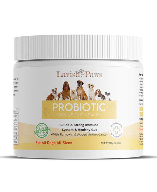 Lavish Paws Probiotic for dogs – vet-formulated digestive and immune support supplement