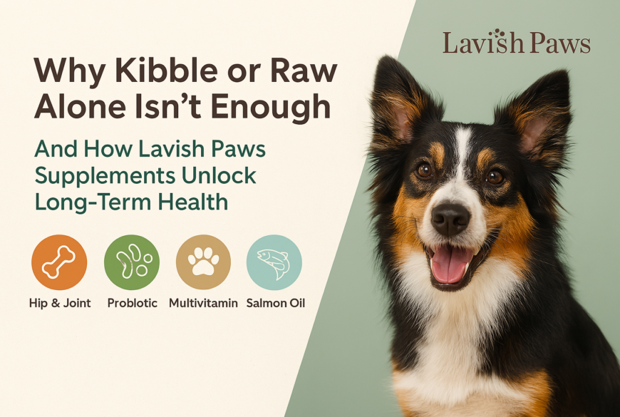 Smiling dog next to icons for hip & joint, probiotic, multivitamin, and salmon oil supplements by Lavish Paws