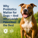 Healthy dog sitting in a Sunny field promoting lavish paws probiotics for dogs